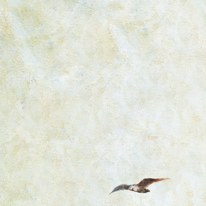 性感美女露逼18🈲
